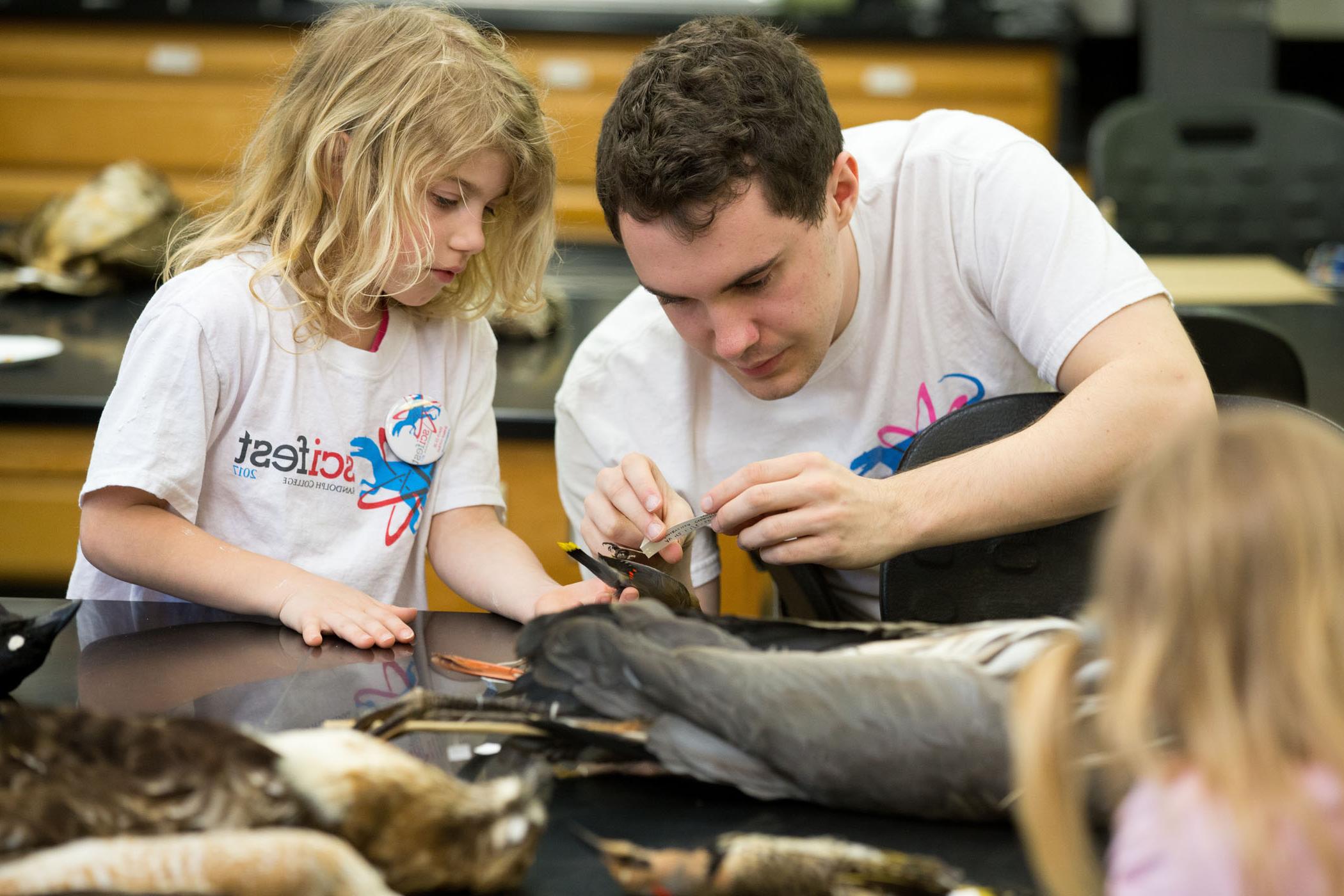 r和olph-college-scifest-having-a-pheasant-time-in-the-orinithology-collection.jpg