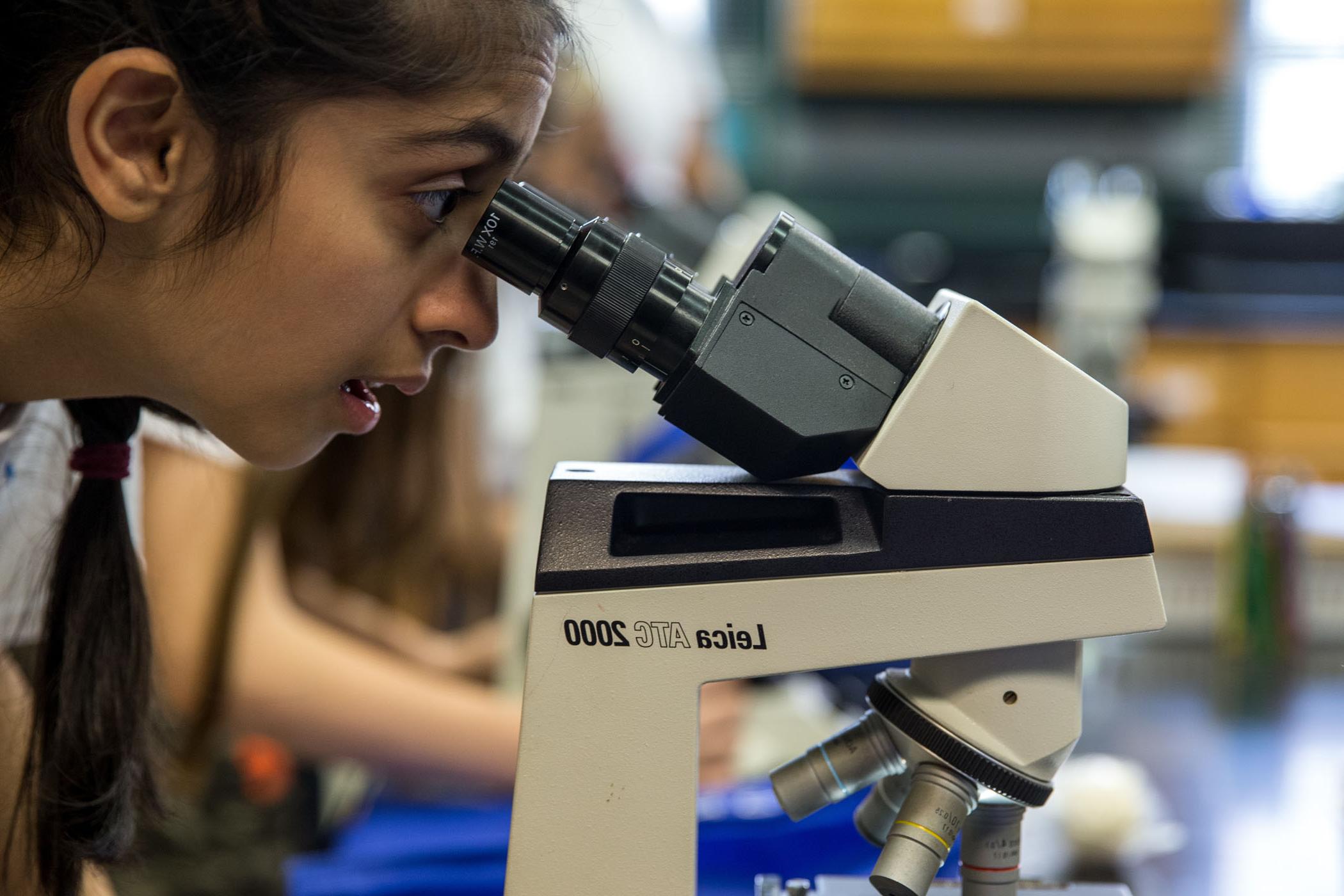 r和olph_college_scifest_microscope.jpg